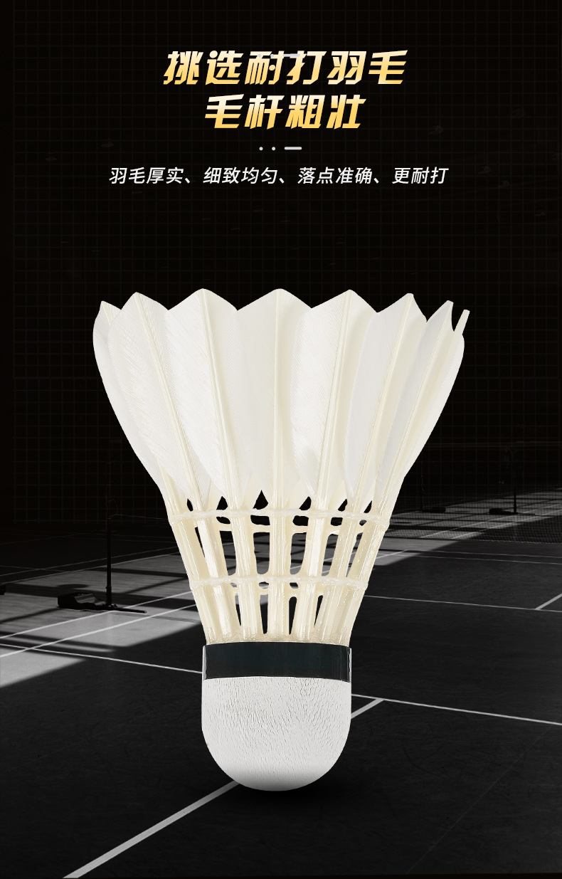 Nuove palline da Badminton pro - Badminton Victory recensione e prezzo