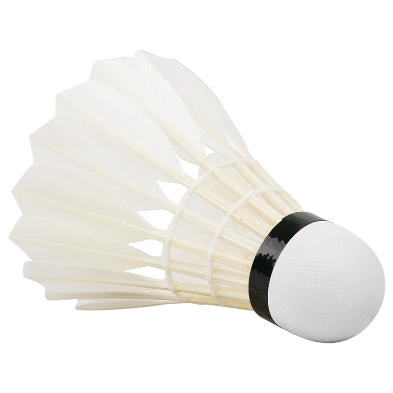 Nuove palline da Badminton pro - Badminton Victory recensione e prezzo