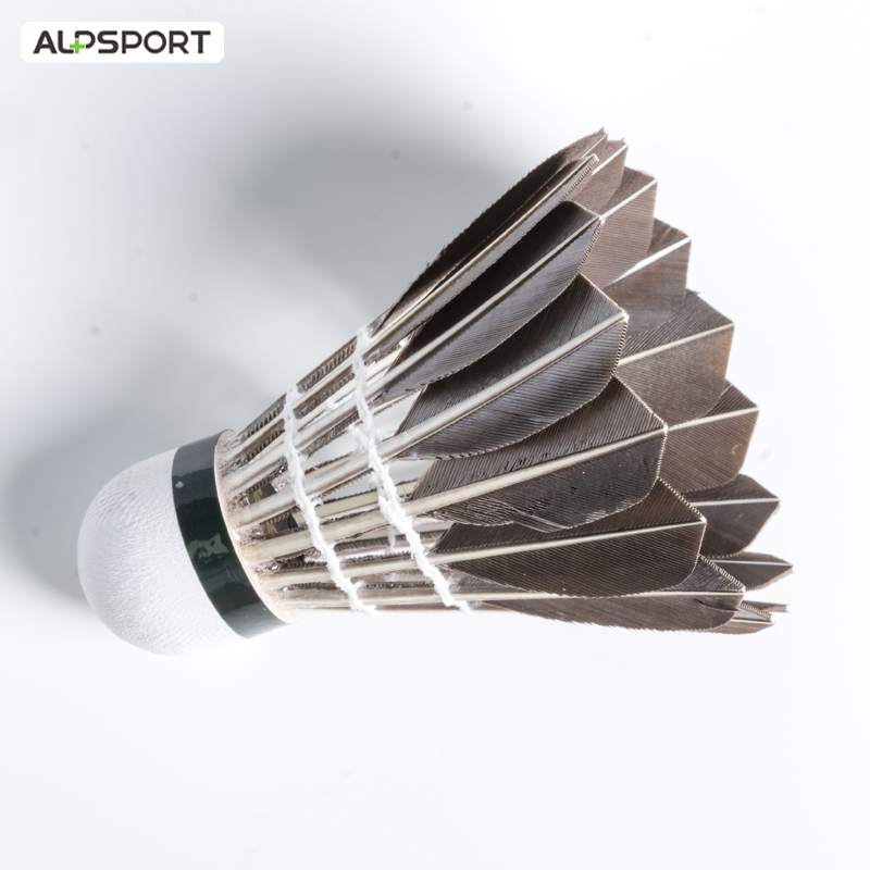 Volani da badminton ALP 806 12 - Badminton Victory recensione e prezzo