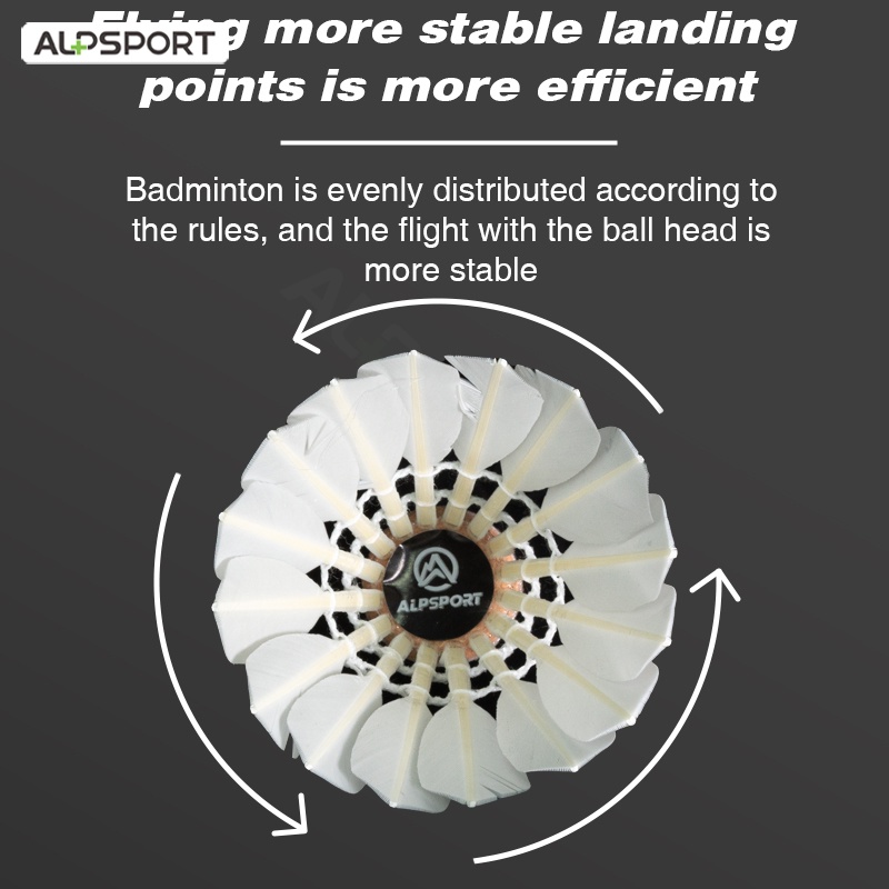 Alpsport 303 3/6/9 pezzi Tubo  - Badminton Victory recensione e prezzo